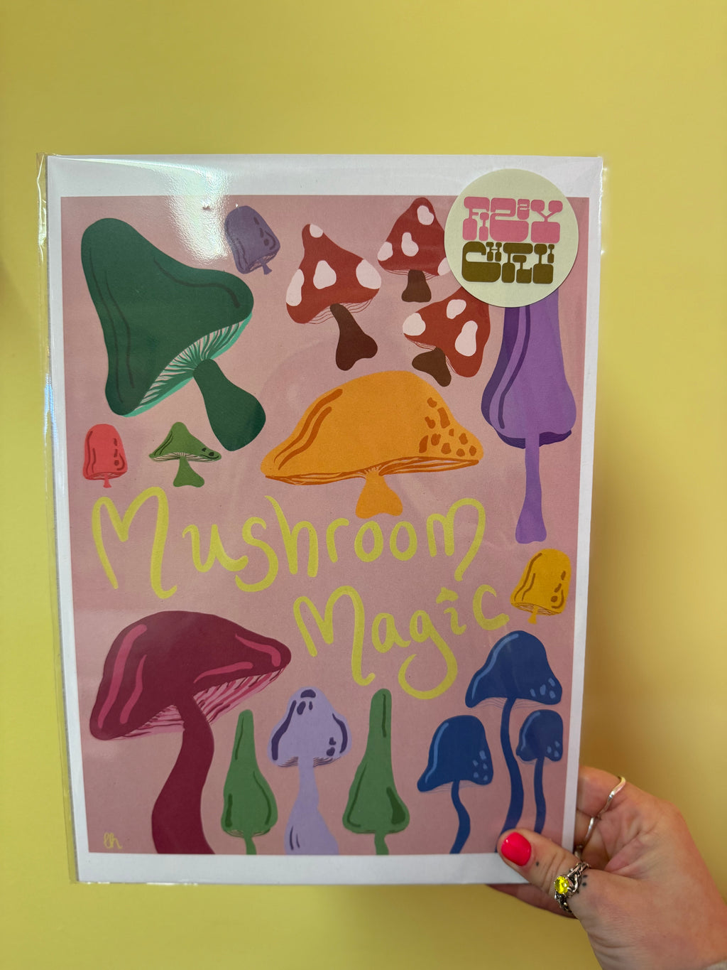 MUSHROOM MAGIC