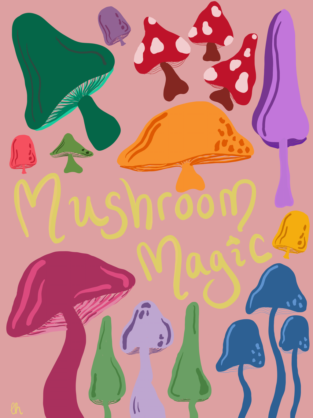 MUSHROOM MAGIC