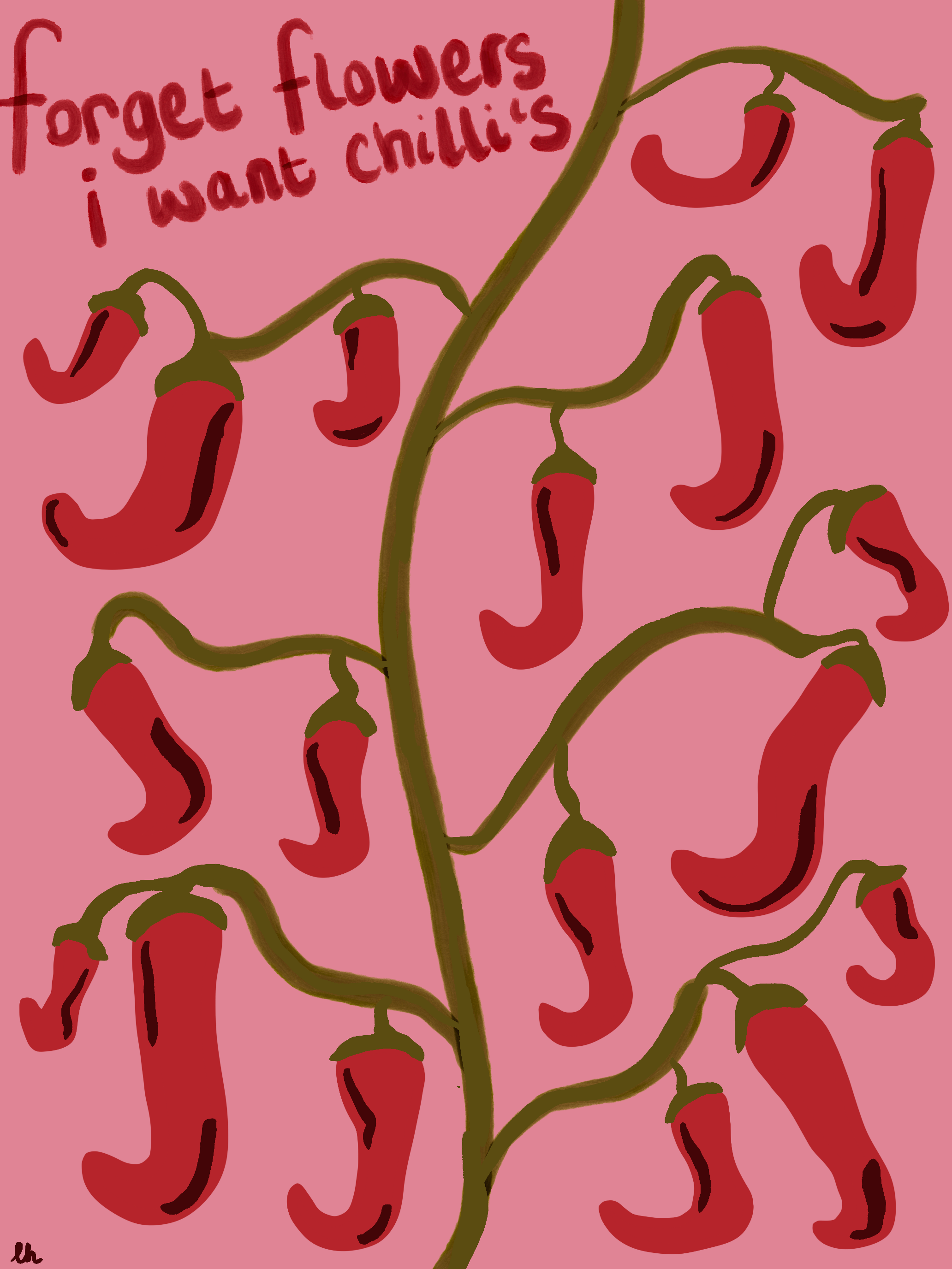 FORGET FLOWERS